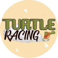 Turtle Racing